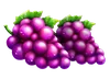 Simbolul Struguri Basket Bounty