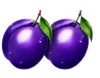 Simbolul Prunei Basket Bounty
